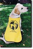 Guide Dogs 2
